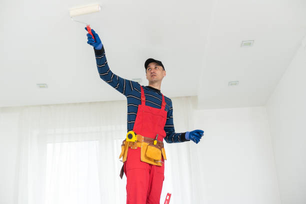 Best Eco-Friendly and Low-VOC Painting  in Highland City, FL